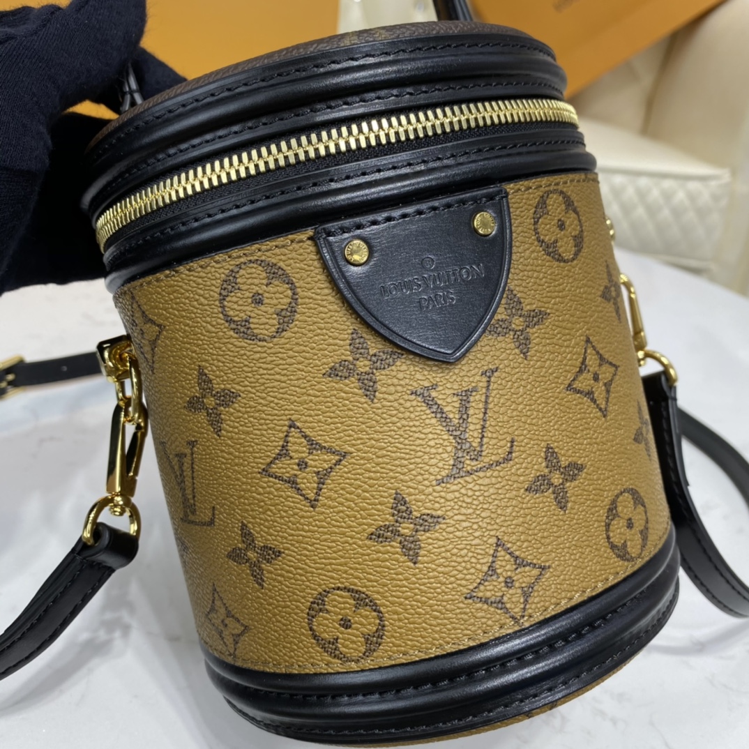 Louis Vuitton CANNES Monogram Case Handbag M43986 